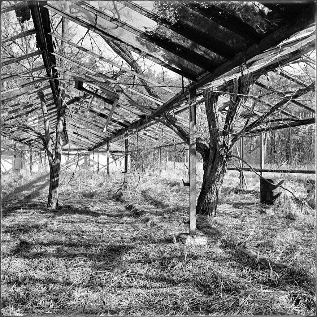 Open Greenhouse